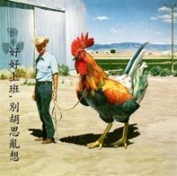 Chicken